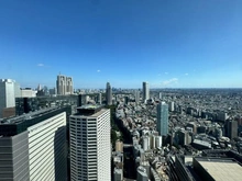 【東京都/新宿区西新宿】ザ・パークハウス西新宿タワー60 眺望