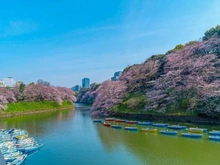 【東京都/新宿区富久町】富久クロスコンフォートタワー  千鳥ヶ淵（現地より約3,210m）：