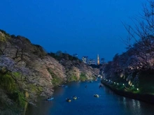 【東京都/新宿区富久町】富久クロスコンフォートタワー  千鳥ヶ淵（現地より約3,210m）：