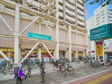 【東京都/新宿区下落合】目白パークマンション ピーコックストア目白店（現地より約600m）