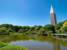 【東京都/新宿区大京町】プラウド新宿御苑エンパイア 新宿御苑（現地より約700m）：