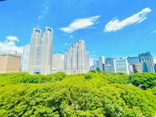 【東京都/新宿区西新宿】新宿セントビラ永谷 眺望
