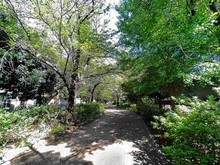 【東京都/渋谷区大山町】ザ・パークハウス代々木大山 大山緑道（現地より約320m）