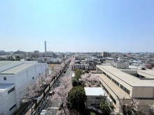 【東京都/三鷹市上連雀】ジェイパーク三鷹ノルディックエア 眺望：南向きバルコニーから