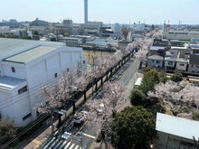 【東京都/三鷹市上連雀】ジェイパーク三鷹ノルディックエア 眺望：南向きバルコニーから