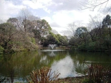 【東京都/杉並区永福】パレス永福 和田堀公園（現地より約950m）