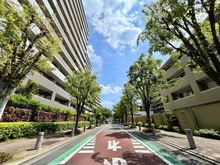 【東京都/武蔵野市境】デライトシティ　ブレスコート 前面道路