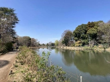 【東京都/武蔵野市吉祥寺東町】吉祥寺レジデンシア 善福寺公園（現地より約750m）