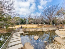 【東京都/杉並区和田】プラウド杉並和田 プライベートコート 杉並区立蚕糸の森公園（現地より約600m）