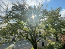 【東京都/武蔵野市吉祥寺本町】パークスクエア吉祥寺本町 C棟 眺望