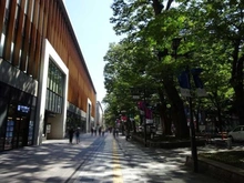 【東京都/府中市天神町】府中天神町パーク・ホームズ 馬場大門のけやき並木（現地より約1,296m）