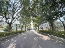 【東京都/府中市天神町】府中天神町パーク・ホームズ 都立府中の森公園（現地より約577m）