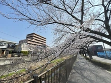 【東京都/稲城市矢野口】レリアコート京王よみうりランドウエスト 三沢川（現地より約100m）