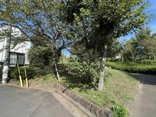 【東京都/調布市布田】ジオ調布  古天神公園(古天神遺跡)（現地より約170m）