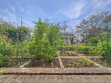 【東京都/稲城市矢野口】グローブスクエア 敷地内：家庭菜園（月額使用料金100～金340円）