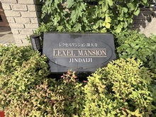 【東京都/調布市深大寺東町】レクセルマンション深大寺 マンション表札