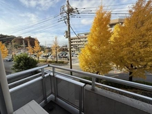 【東京都/稲城市矢野口】ダイアパレス京王よみうりランド 眺望