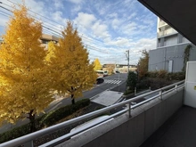 【東京都/稲城市矢野口】ダイアパレス京王よみうりランド 眺望