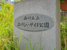 【東京都/品川区東品川】プライムパークス品川シーサイドザ・タワー 区立品川シーサイド公園（現地より約150m）