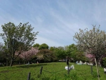 【東京都/渋谷区恵比寿南】オーベル代官山DE 西郷山公園（現地より約1,000m）