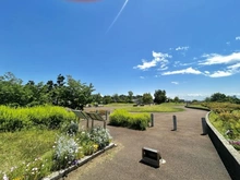 【東京都/世田谷区野毛】アイディーコート二子玉川 二子玉川公園（現地より約356m）