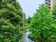 【東京都/世田谷区深沢】深沢ハウス K棟 アプローチ