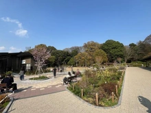 【東京都/大田区田園調布】田園調布愛知マンション 田園調布せせらぎ公園（現地より約380m）