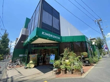 【東京都/世田谷区等々力】ヒルズ自由が丘クレアリベール 紀ノ国屋　等々力店（現地より約290m）：