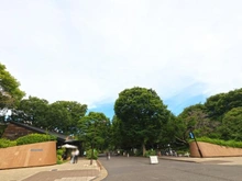 【東京都/世田谷区深沢】クレッセント駒沢公園パークサイド 駒沢オリンピック公園（現地より約120m）：