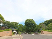 【東京都/世田谷区深沢】クレッセント駒沢公園パークサイド 駒沢オリンピック公園（現地より約120m）：