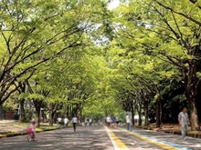 【東京都/世田谷区深沢】アンセフォルム深沢 駒沢オリンピック公園(現地より約120m):