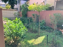 【東京都/世田谷区玉堤】サンハイツ玉堤 専用庭