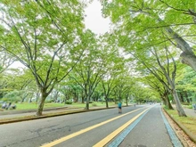 【東京都/世田谷区深沢】パークハウス深沢コートレジデンス 駒沢オリンピック公園（現地より約800m）：