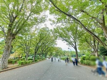 【東京都/世田谷区深沢】パークハウス深沢コートレジデンス 駒沢オリンピック公園（現地より約800m）：