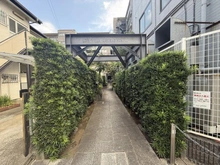 【東京都/中野区上鷺宮】ライフヴィラ上鷺宮 アプローチ
