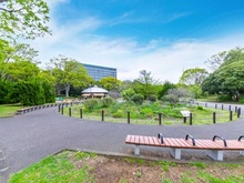 【東京都/世田谷区等々力】ピアース等々力レジデンス 駒沢オリンピック公園（現地より約1,200m）