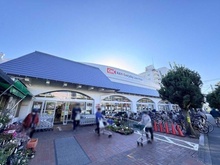 【東京都/国分寺市本多】BELISTA国分寺 オーケー国分寺店（現地より約355m）
