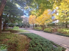 【東京都/世田谷区千歳台】パークハウスフォレストリエ 共用部：四季を感じる中庭