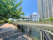 【東京都/港区芝浦】GLOBAL FRONT TOWER　グローバルフロントタワー 新芝浦運河・新芝浦運河沿緑地（現地より約1m）：