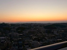 【神奈川県/川崎市多摩区登戸】パークタワー向ヶ丘遊園 眺望