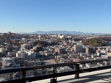 【神奈川県/川崎市多摩区登戸】パークタワー向ヶ丘遊園 眺望