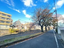 【東京都/多摩市豊ヶ丘】藤和シティホームズ多摩センター 前面道路