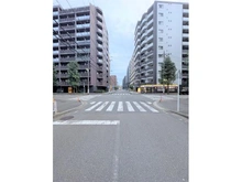 【神奈川県/横浜市港北区新横浜】ミオカステーロ新横浜IV 前面道路