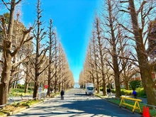 【神奈川県/横浜市港北区箕輪町】プラウドシティ日吉レジデンスI 慶応義塾大学日吉キャンパス（現地より約860m）