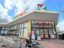 【神奈川県/横浜市港北区大豆戸町】プラウド大倉山サウスコート ヨークマート大倉山(現地より約410m):
