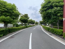 【神奈川県/横浜市金沢区柴町】サウスウイング金沢 5号棟 前面道路