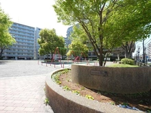 【神奈川県/横浜市港北区新横浜】ミオカステーロ新横浜IV 新横浜第一公園（現地より約30m）