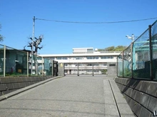 【神奈川県/横浜市港北区新横浜】ミオカステーロ新横浜IV 横浜市立城郷小学校（現地より約780m）
