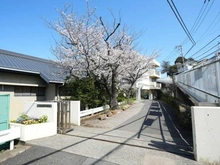 【神奈川県/横浜市港北区新横浜】ミオカステーロ新横浜IV 横浜市立篠原中学校（現地より約1,180m）