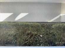 【神奈川県/横浜市南区六ツ川】ヒルズ横浜南ガーデニア 1号棟 眺望